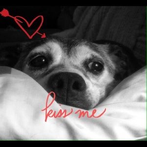 Meet your Posher, Susan